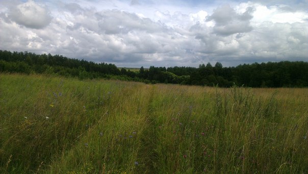 2015--07-01-n_qpCzh9AVY