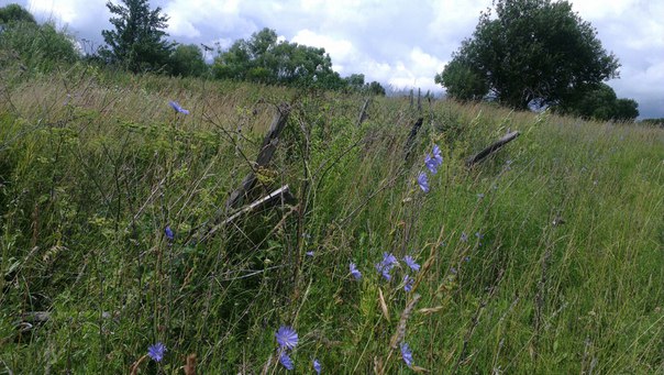 2015-07-02-AYzcFJ4UpdY