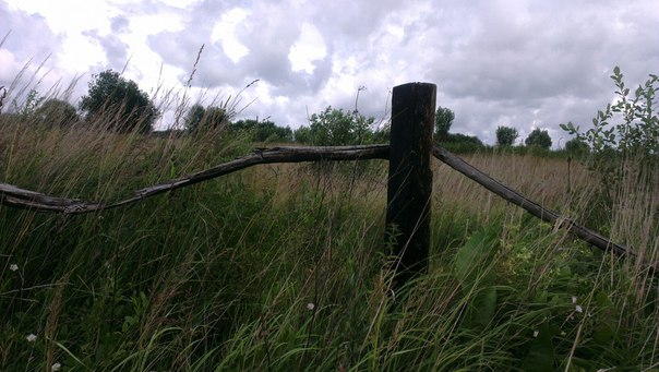 2015-07-06-M6T3E2fhDFk